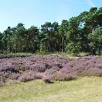 In The Dancing Forest Vakantiehuis *