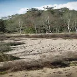 Vakantiehuis In The Dancing Forest