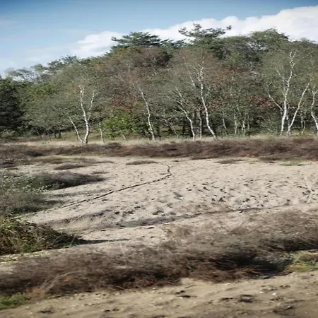 Vakantiehuis In The Dancing Forest