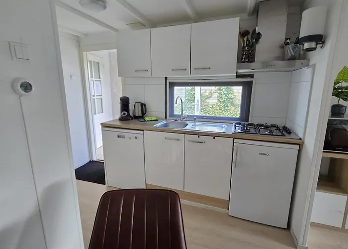 In The Dancing Forest חרדרן