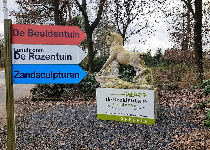 In The Dancing Forest *