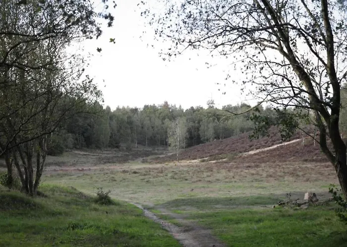 In The Dancing Forest בית נופש חרדרן