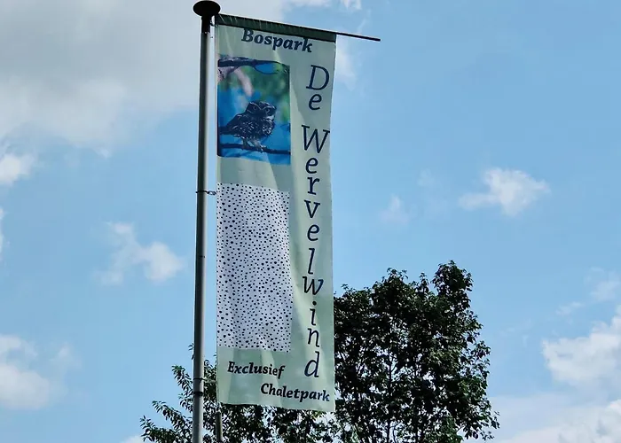 In The Dancing Forest