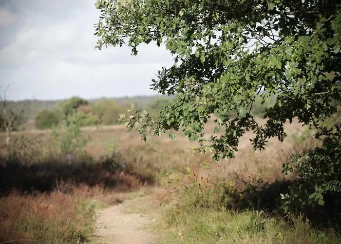 In The Dancing Forest בית נופש חרדרן
