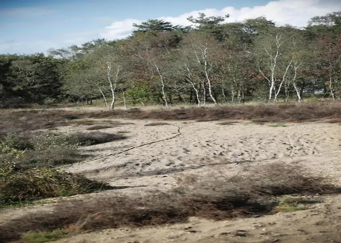 בית נופש In The Dancing Forest