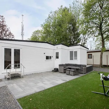 In The Dancing Forest *