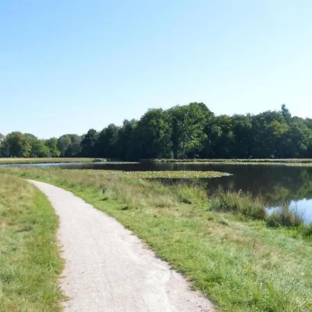 Vakantiehuis In The Dancing Forest