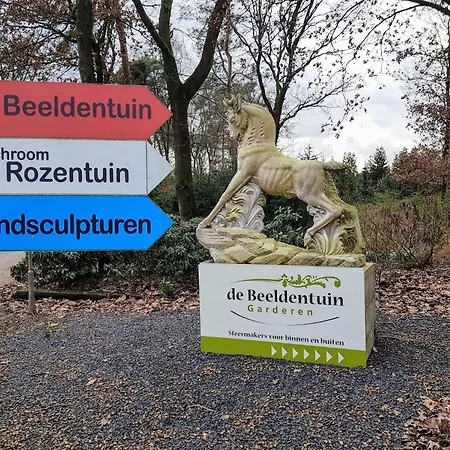 In The Dancing Forest *