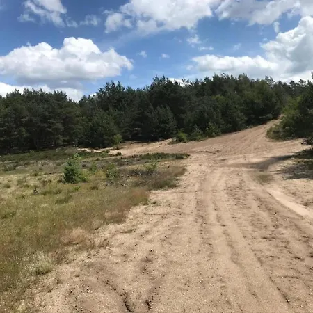 In The Dancing Forest * Garderen