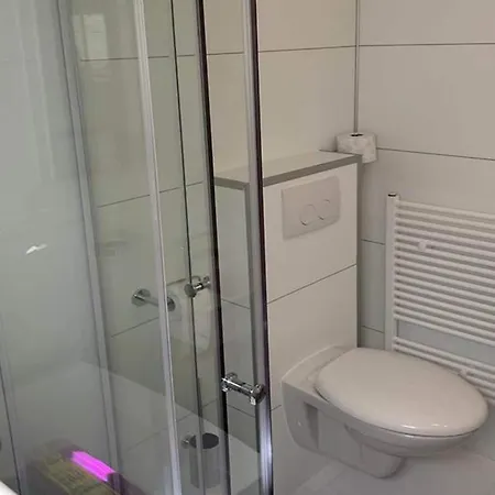 In The Dancing Forest *