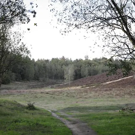 In The Dancing Forest Casa vacanze Garderen