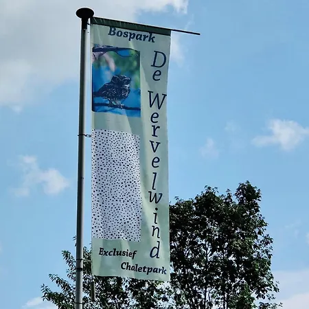 In The Dancing Forest