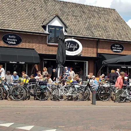 In The Dancing Forest