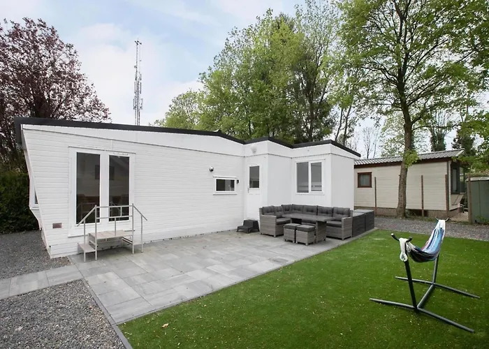 In The Dancing Forest *