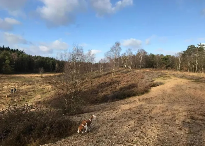 In The Dancing Forest Σπίτι διακοπών Garderen