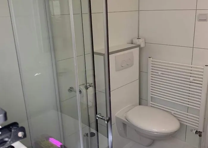 In The Dancing Forest *