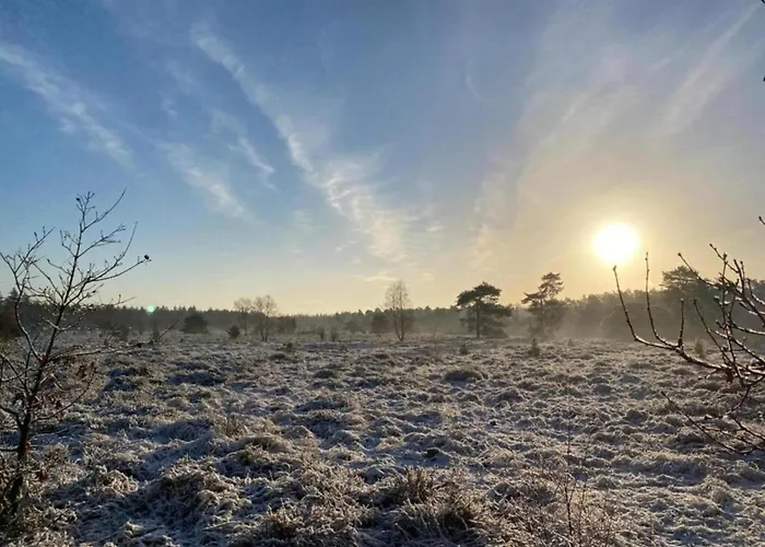 Vakantiehuis In The Dancing Forest