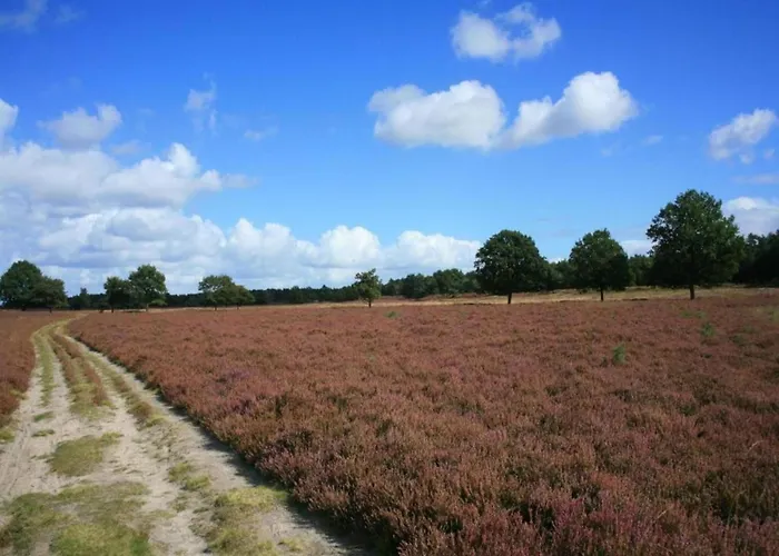 Vakantiehuis In The Dancing Forest *